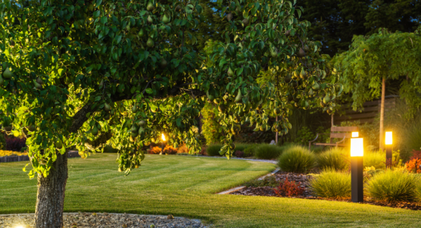 Get Your Outdoor Area Summer Ready with MP Electrical